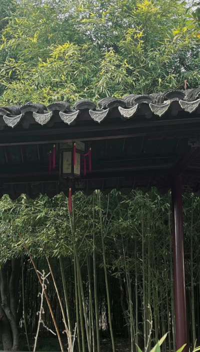 你的信念会带你杀出重围