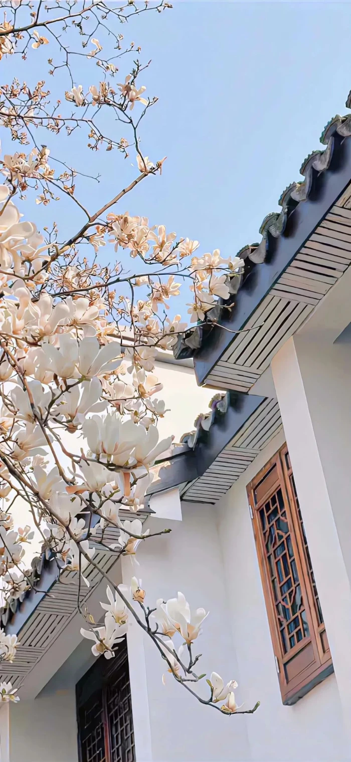 你的信念会带你杀出重围