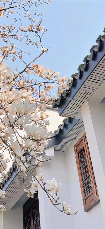 你的信念会带你杀出重围