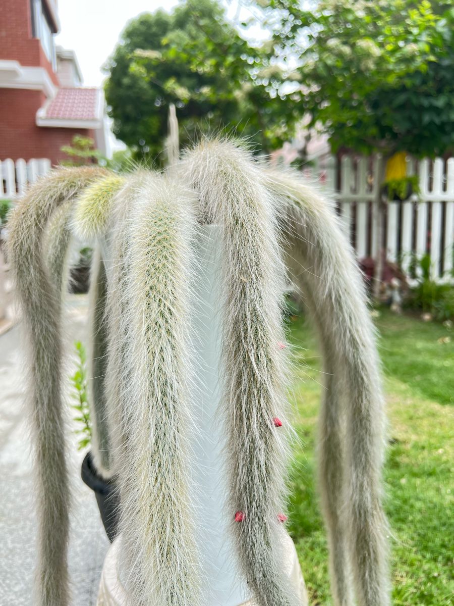 得失随缘。心无增减”