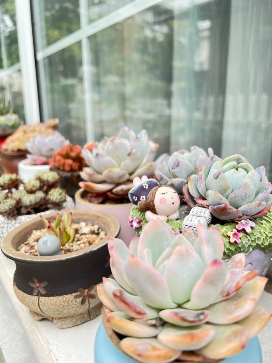 得失随缘。心无增减”