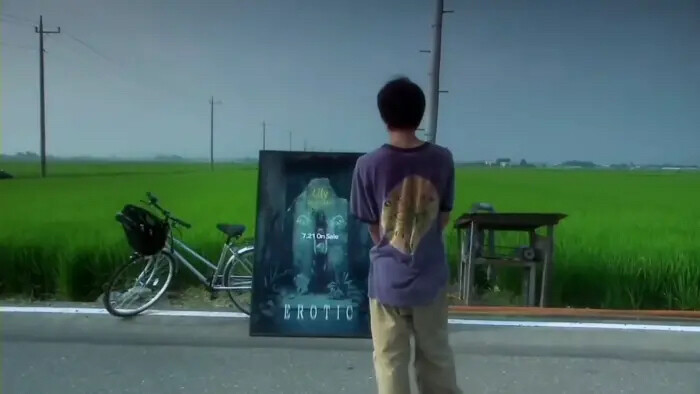 关于莉莉周的一切