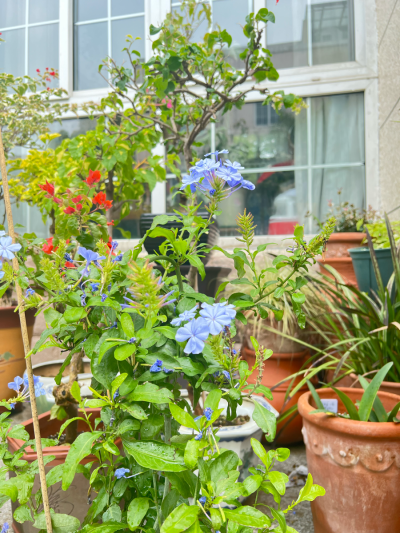 得失随缘。心无增减”