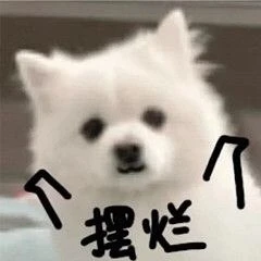 小白狗