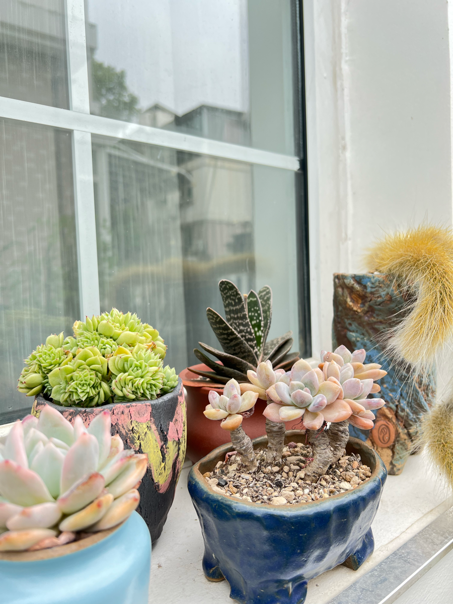 得失随缘。心无增减”