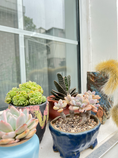 得失随缘。心无增减”