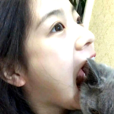 李庚希