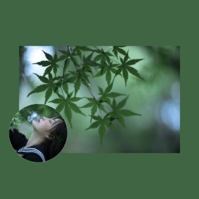 我喜欢绿色，因为绿色触目可及，它是温柔，是纯粹美好
