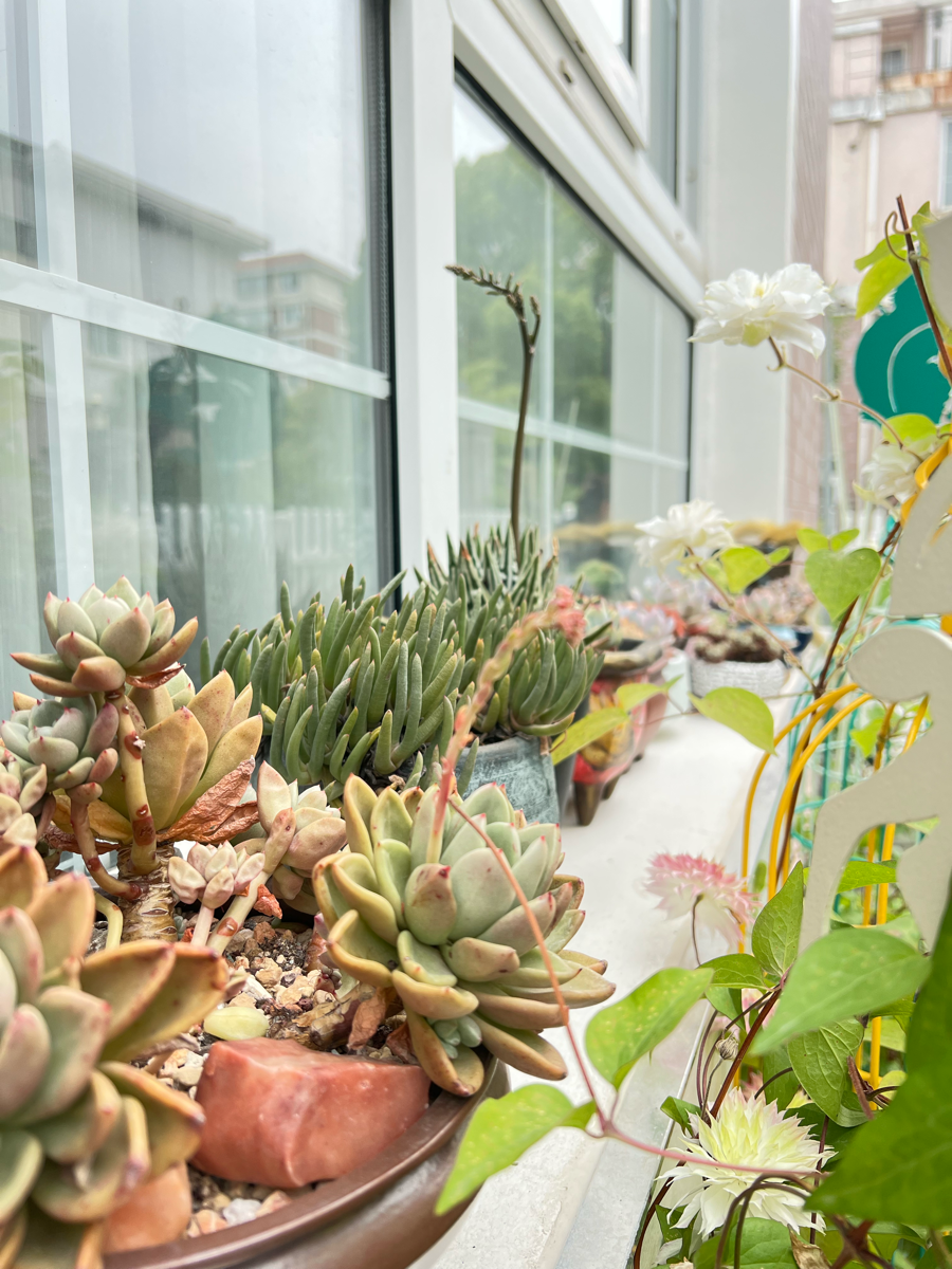 得失随缘。心无增减”