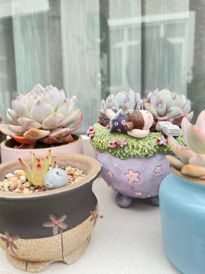 得失随缘。心无增减”