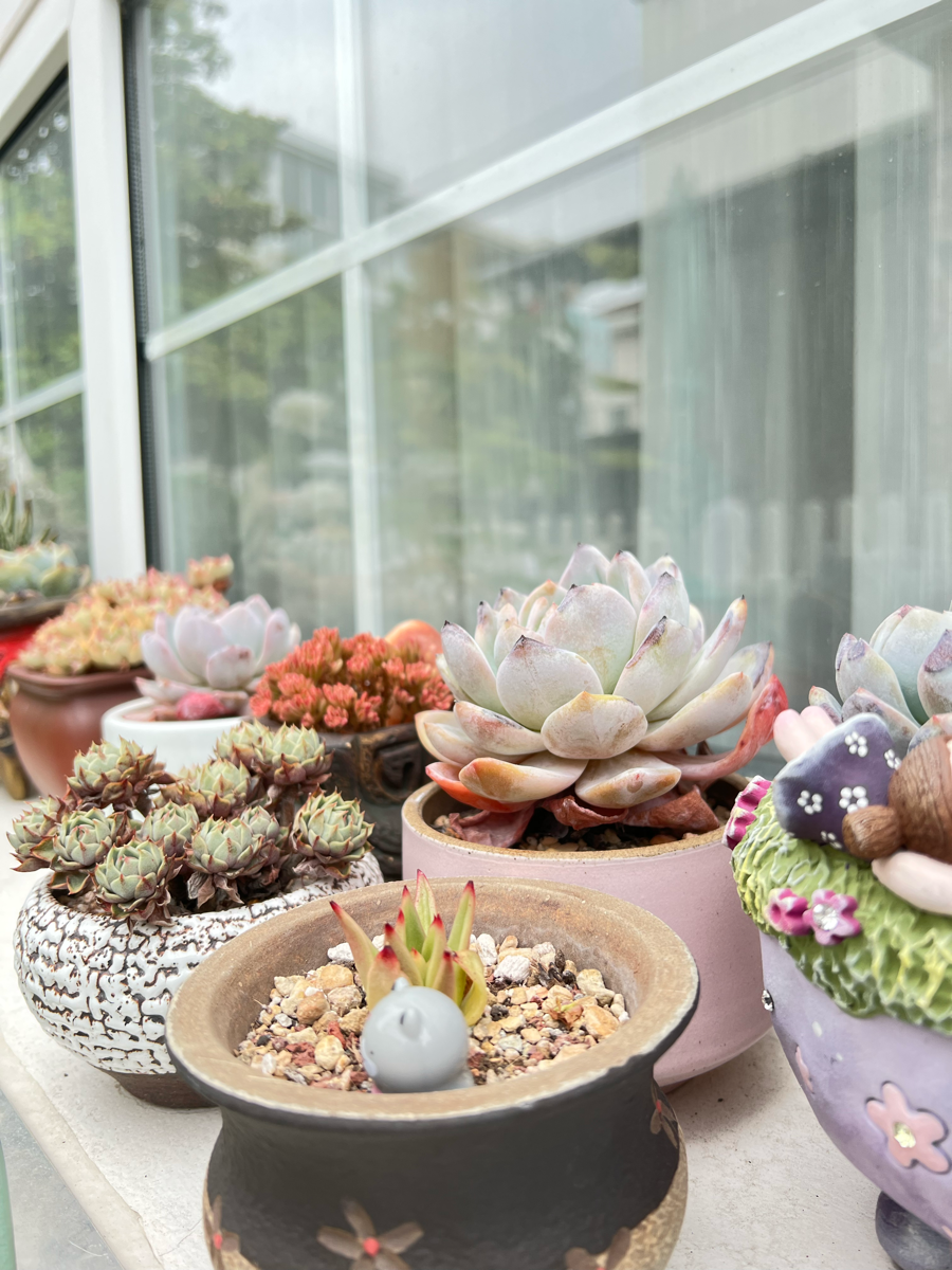 得失随缘。心无增减”