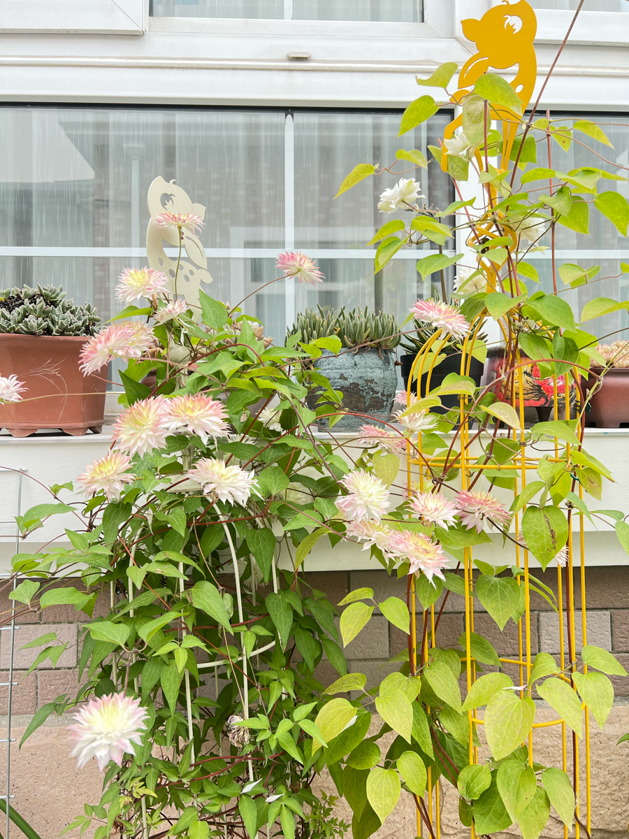 得失随缘。心无增减”