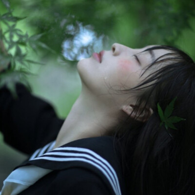 我喜欢绿色，因为绿色触目可及，它是温柔，是纯粹美好
