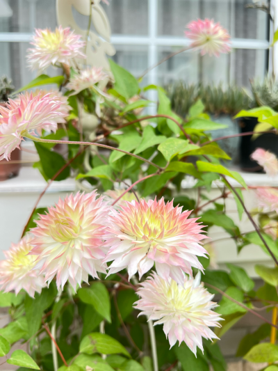 得失随缘。心无增减”