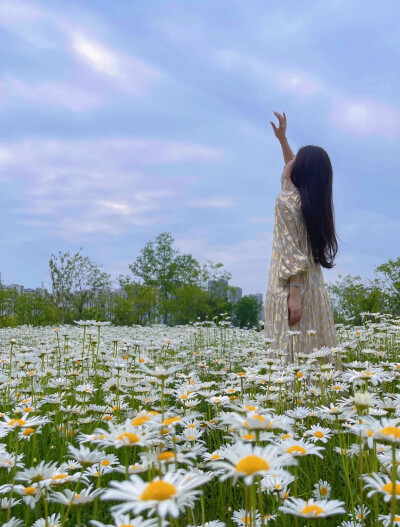 女人你要明白.也许你并不缺钱.也许你嫁了个好老公 也许有人愿意养你 但全球最危险的职业是“全职太太”结婚时一句“我养你”离婚时的一句“是我养的你”任何时候都请记住.经济独立是女人最起码的尊严.有空多挣钱.没…