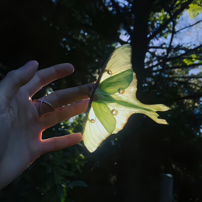 朋友圈搭配分享