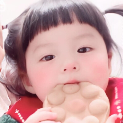 ꒰ঌ( ˶'-'˶) ໒꒱呆呆k