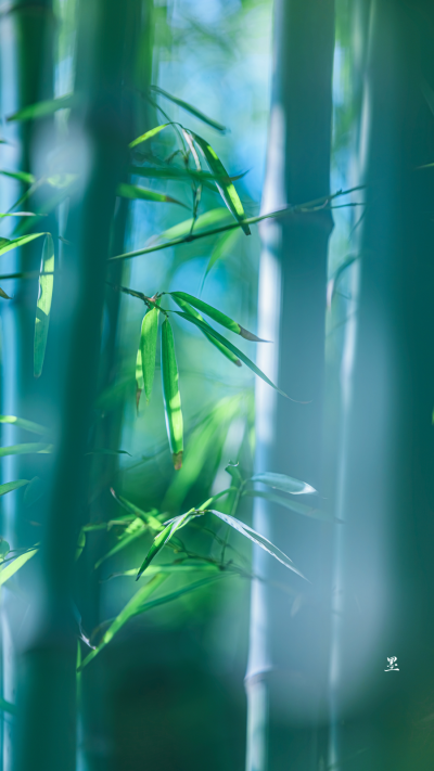 摄影：anileo墨 