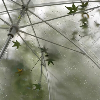 雨伞