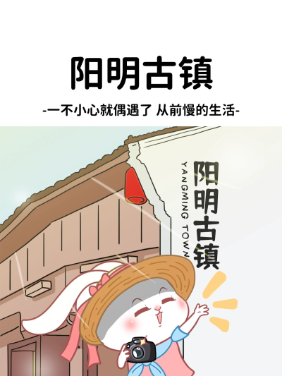 猫与熊