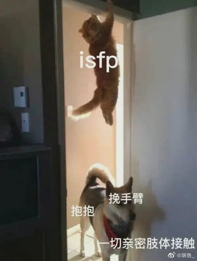 isfp的meme图