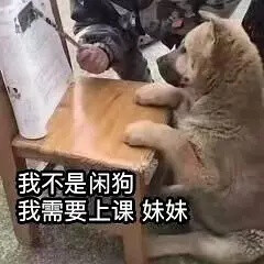 可爱