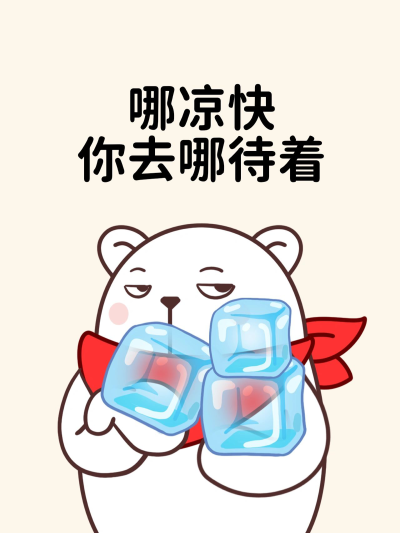 猫与熊