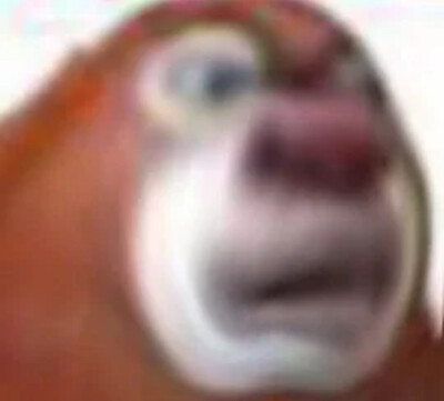 meme