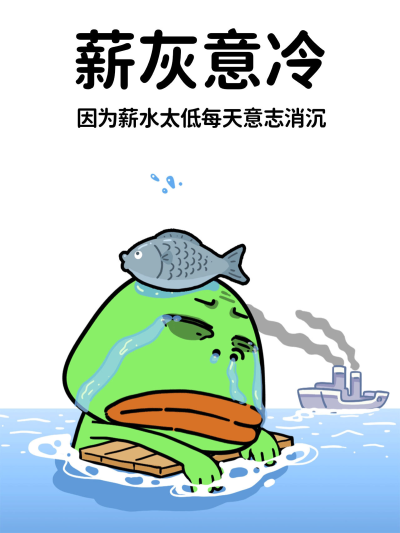 猫与熊