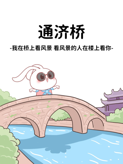 猫与熊