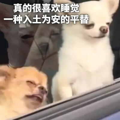 朋友圈状态很适合