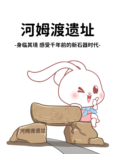 猫与熊