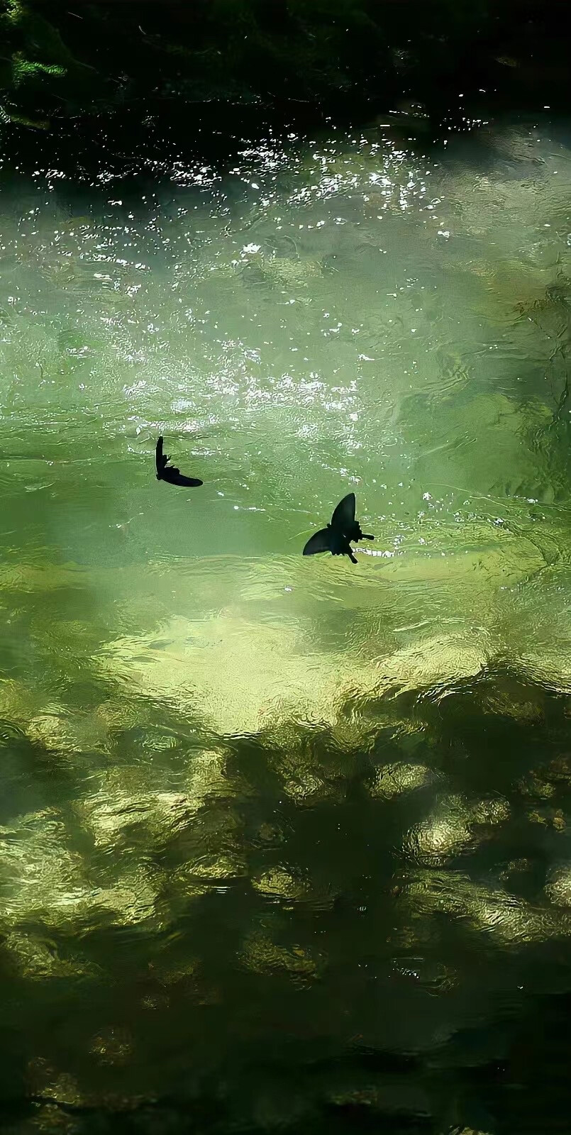 氛圍感