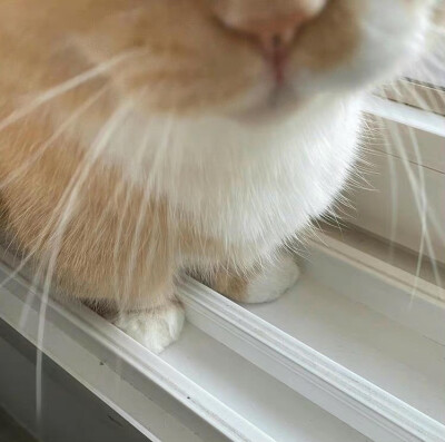 (_ _).｡o○