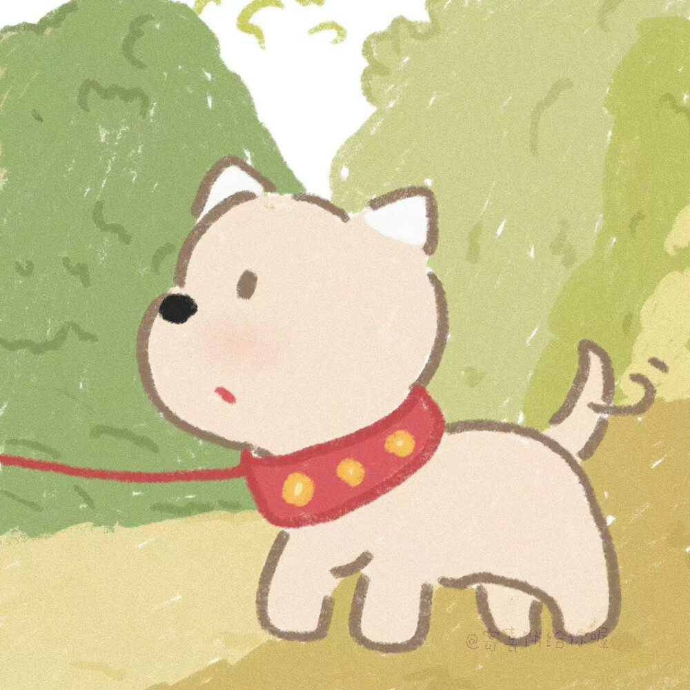 小王子永远爱玫瑰花