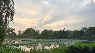 2023年5月25日傍晚，在下了一场雨后，天空的云彩雄伟壮观，几道巨大的光线从云层中直射出来，显得气象万千。