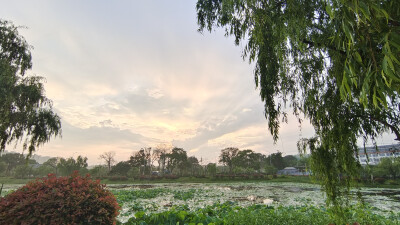 2023年5月25日傍晚，在下了一场雨后，天空的云彩雄伟壮观，几道巨大的光线从云层中直射出来，显得气象万千。