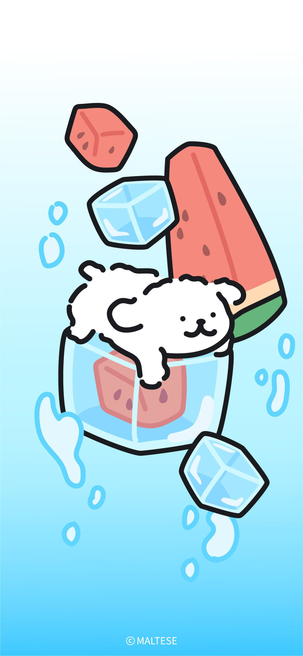 小王子永远爱玫瑰花