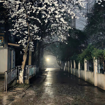 我常常抱怨人生路上遇到不该遇见的人
下雨坐在窗边回忆过去 其实好的坏的我都舍不得