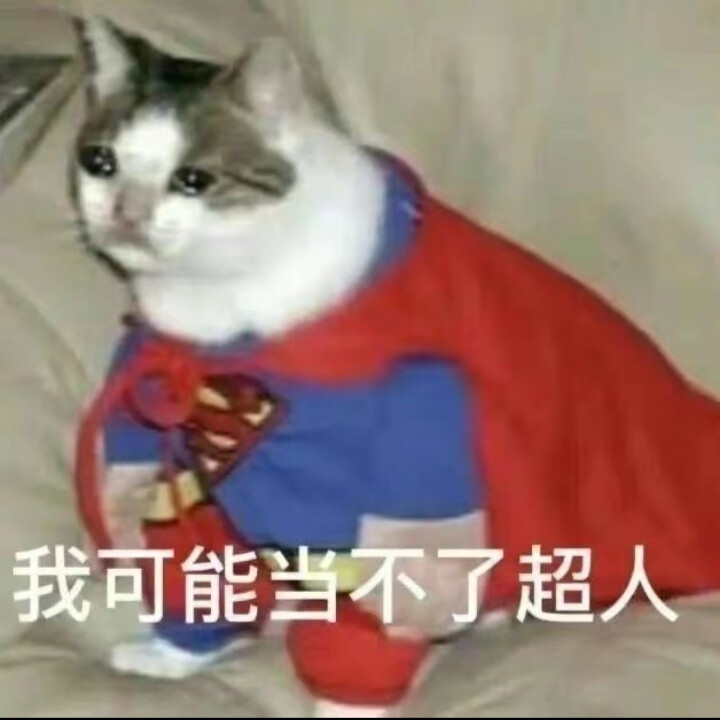 怪怪的猫猫表情包