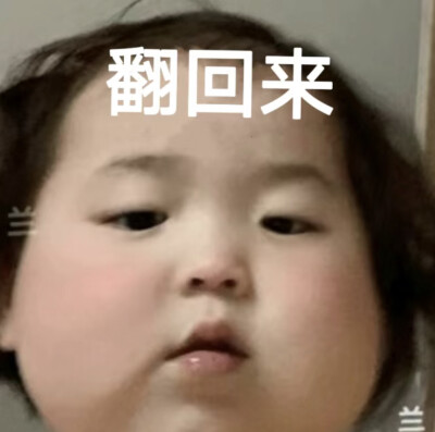 表情包