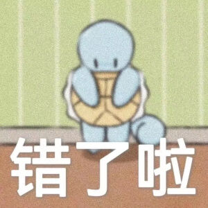 杰尼龟表情包17
侵权删