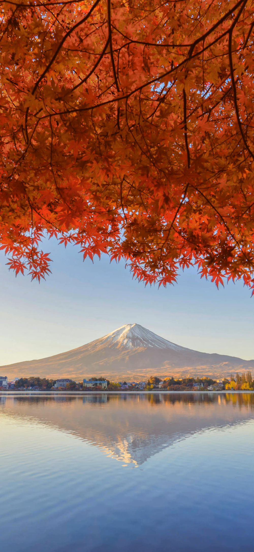 朋友圈小清新 风景 山水图 花