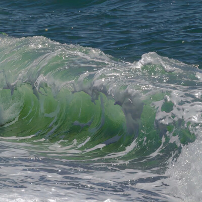 背景｜文案
风悄悄亲了一下叶子，晚霞看见了，不知不觉红了脸。