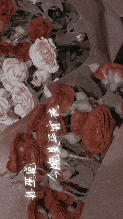 《我在惊悚游戏里封神》绝美