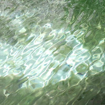 背景｜文案
风悄悄亲了一下叶子，晚霞看见了，不知不觉红了脸。