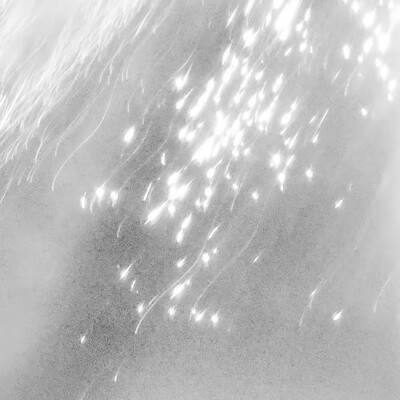 背景｜文案
如月之恒，如日之升。如南山之寿，不骞不崩。如松柏之茂，无不尔或承。