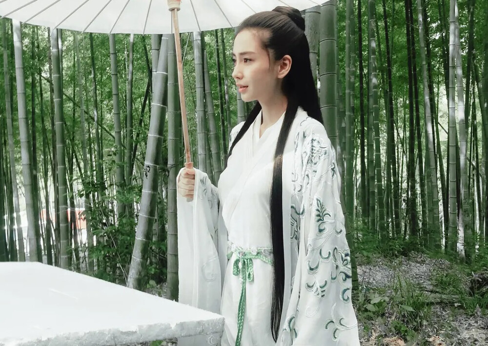 孤芳不自赏