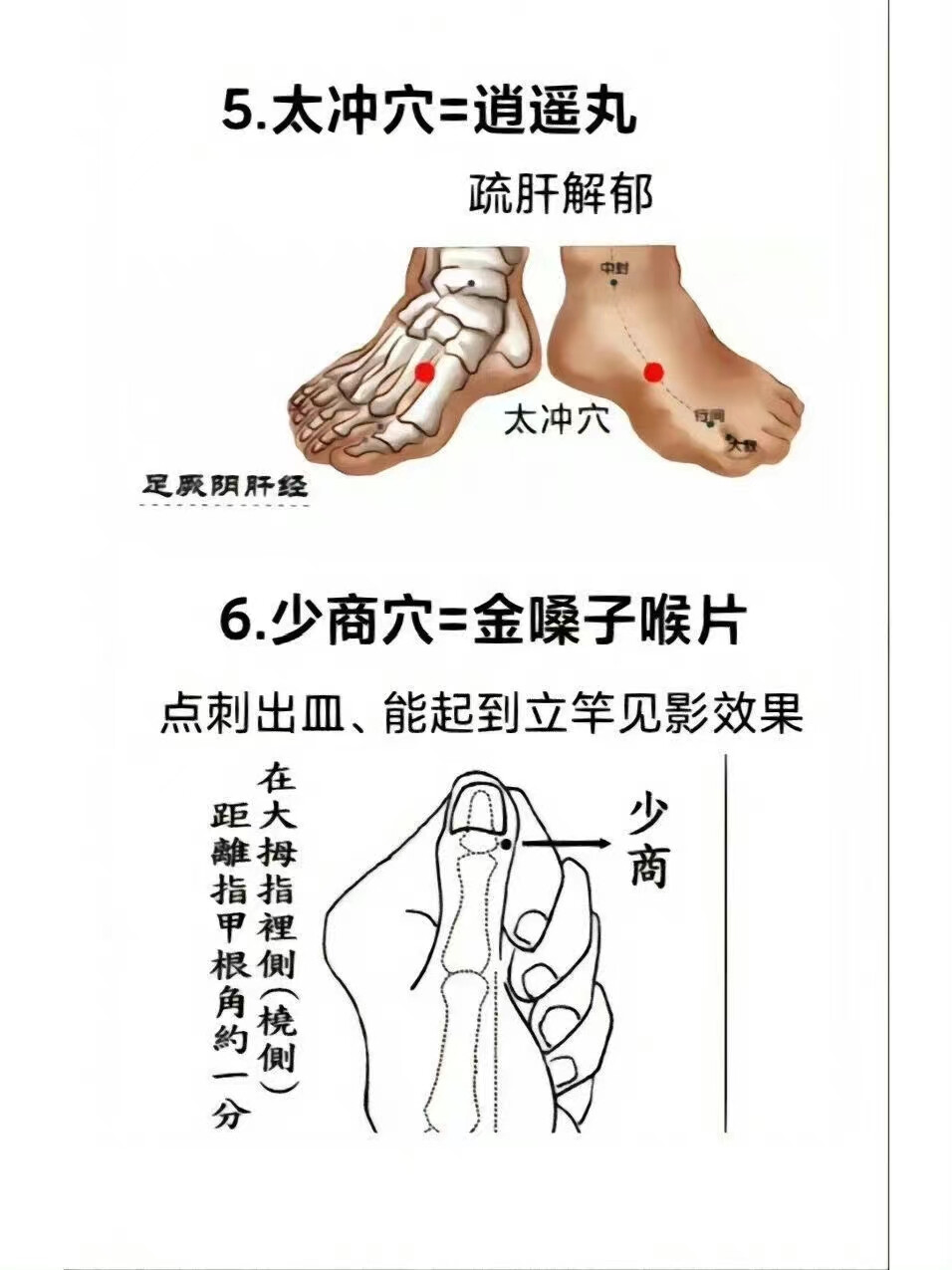 穴位=药