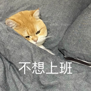 Share｜可爱猫咪表情包
-
我的一天 上班:老板骂我 下班:我骂老板